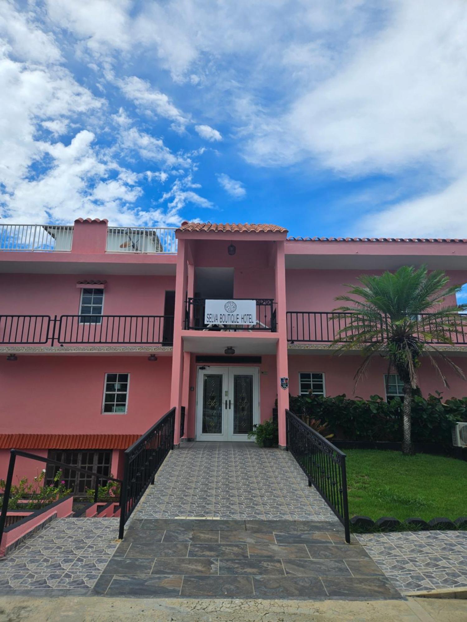 Selva Boutique Hotel - Luquillo Oceanfront Retreat - Adults Only Exterior photo