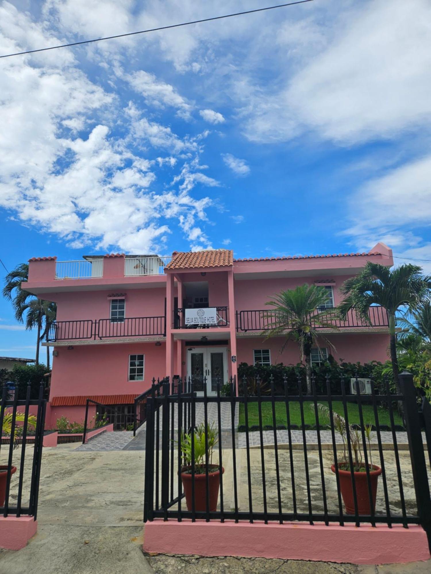 Selva Boutique Hotel - Luquillo Oceanfront Retreat - Adults Only Exterior photo